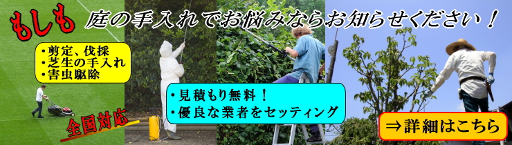 剪定