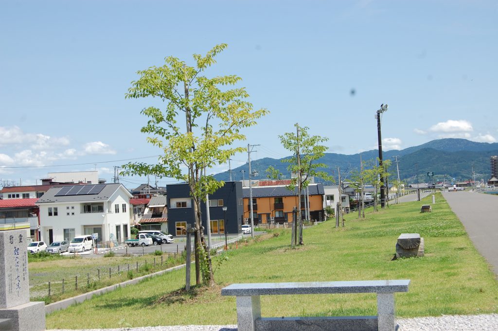 環境緑化で不適地に植栽しなければいけない注意点