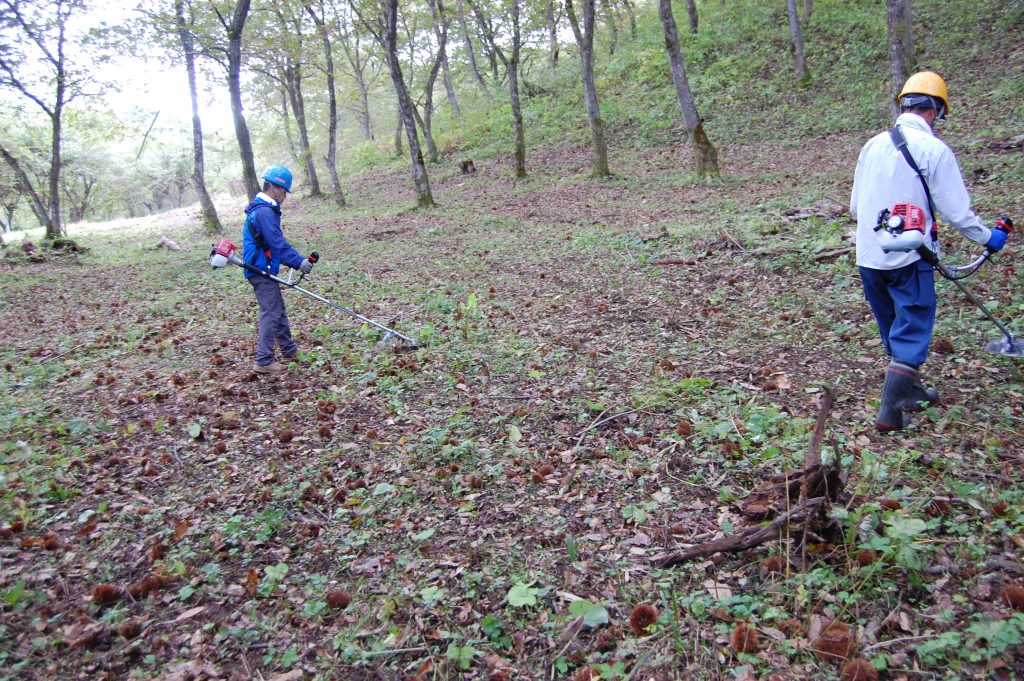 里山保全の荒廃は止まらないのか